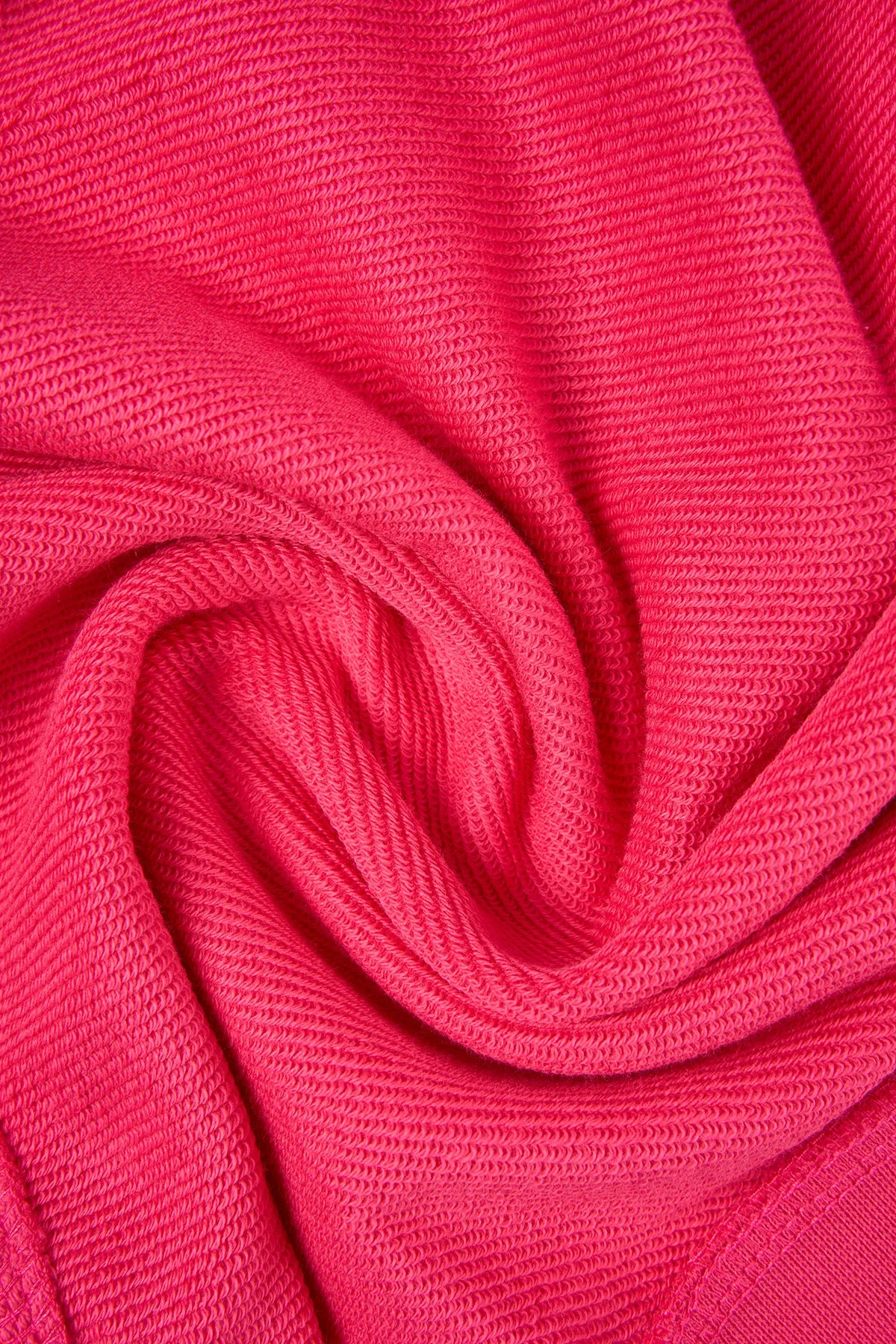 Dağ Ceylanı Soft Fleece Crop Sweatshirt - Pembe