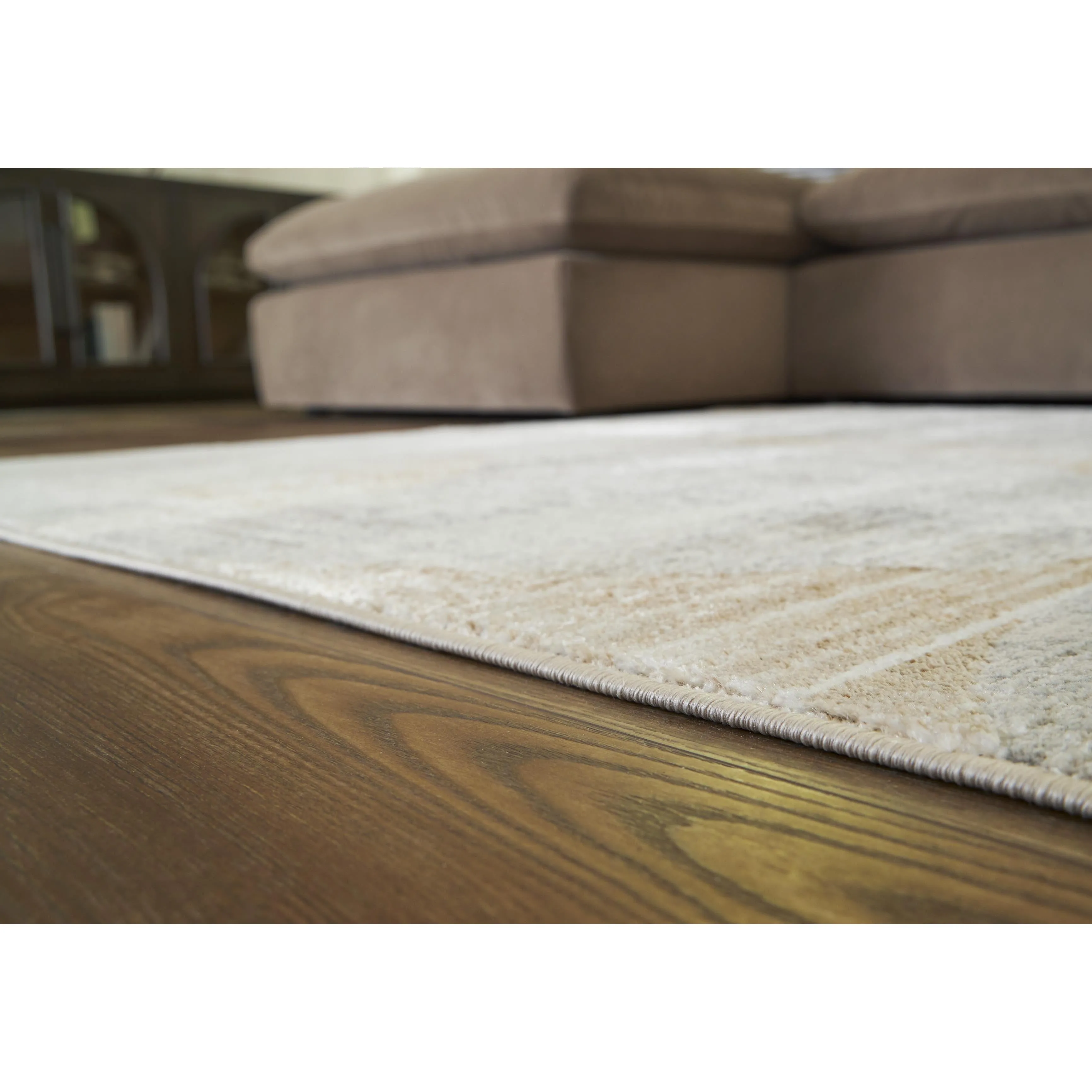 Signature Design by Ashley Truward R406471 Large Rug