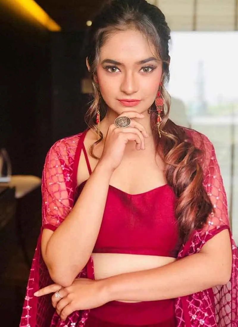 Stylish Dark Maroon Color Soft Net Base Fully Flared Crop Top
